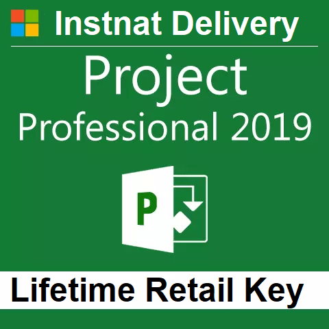 Project 2019 Professional Lifetime 1PC License Key